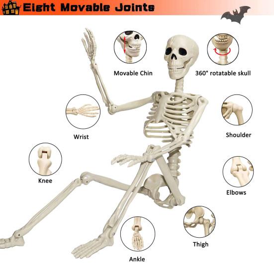 36" Halloween Posable Skeletons Full Body Plastic Human Bone Model with Movable Joints for Yard Haunted House Indoor Outdoor Decor