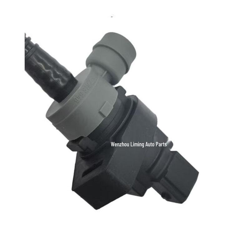 BMW E70/E60 Fuel Tank Vent Pipe & Carbon Canister Solenoid Valve