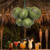 Bright ABS Materials Coconuts Replicas Artificial Fruit For Creative Photography Props And Seasonal Decorations