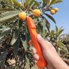 Handheld Berry Picking Tool Ergonomic Thorn-Proof Fruit Harvesting Shears Heavy-Duty Anti-Scratch Pruning Cutter Gardening