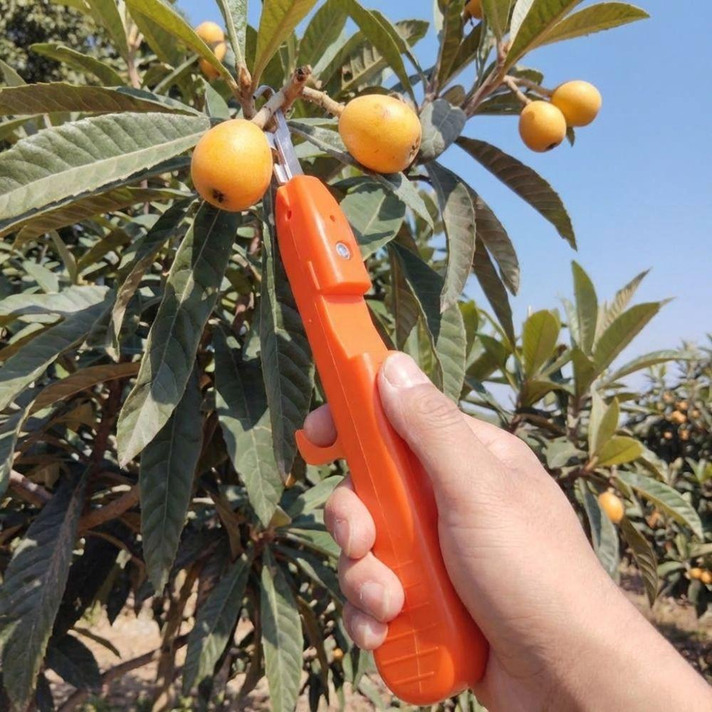 Handheld Berry Picking Tool Ergonomic Thorn-Proof Fruit Harvesting Shears Heavy-Duty Anti-Scratch Pruning Cutter Gardening