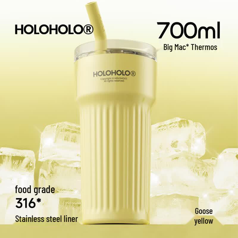 HOLOHOLO Insulated Stainless Steel Water Bottle with Straw