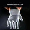 Disposable Food-Grade PE Gloves