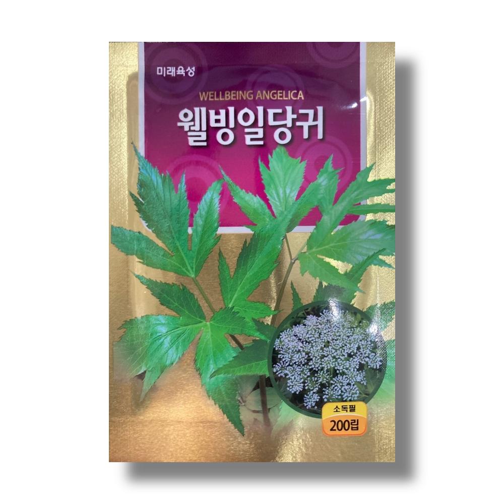 Well-being Angelica 200 Seeds Mirae Seed Company Minsok Special Seeds 1 Pcs