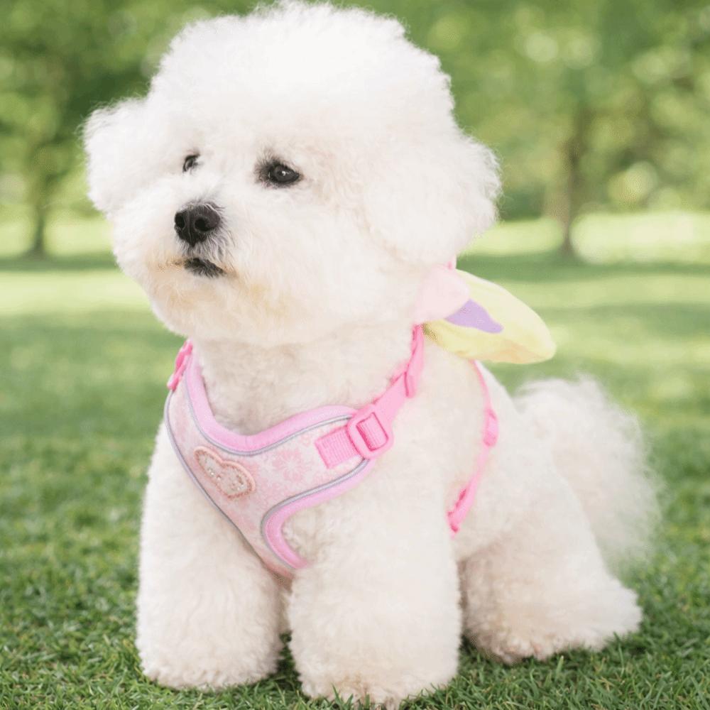 Adjustable Dog Harness and Leash Set Lightweight Pet Walking Leash Cartoon Dog Chest Strap Outdoor