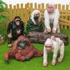 Realistic Gorilla Nature Scene Pvc Statue For Kids Educational Play