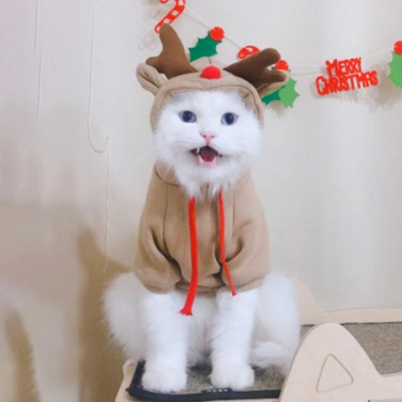 Small Dog Hoodie Reindeer Outfit Pet Clothes For Winter Birthday Christmas Party Indoor Activities Daily Wear