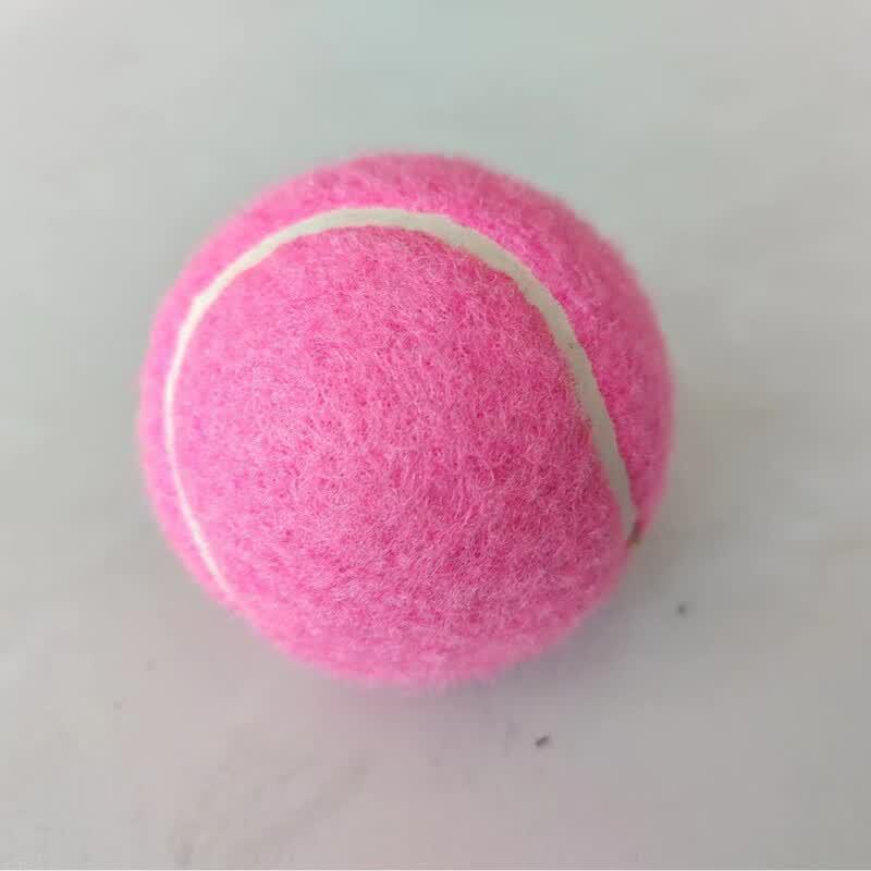 LISM Durable Training Tennis Balls