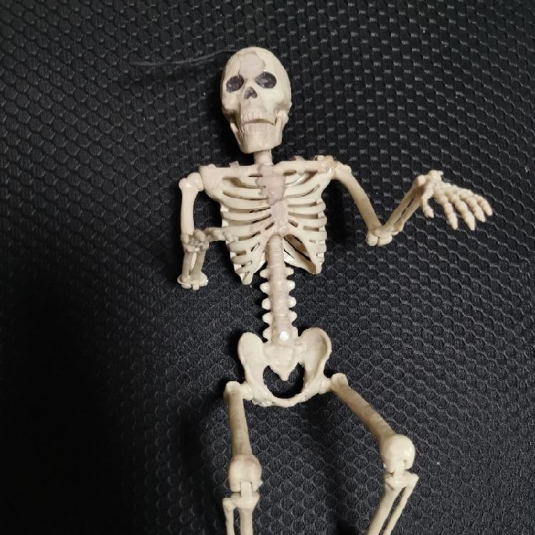 Full Body Mini Skeleton Spooky Plastic Skeleton for Yard Garden Lawn Haunted