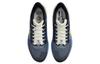 Nike Air Zoom Pegasus 39 Premium Obsidian Yellow DO9580-400