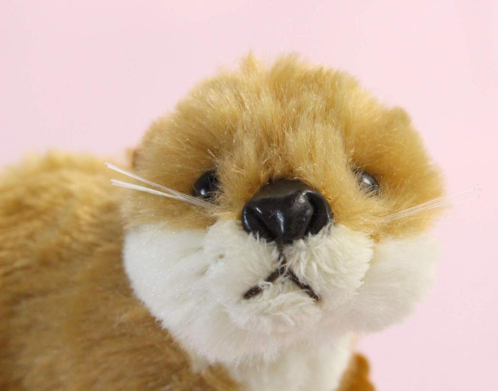 Takeoff Otter Kriechend Typ Mittelbraun