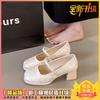 High Heel Single Shoes Women's Medium Thick Heel with Cheongsam Horse Face Skirt Sandals Summer 2025 New New Chinese Style Shoes