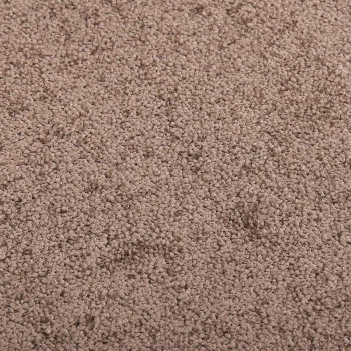 VidaXL Paillasson Marron 40x60 cm
