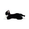 Sun Lemon Lap Black and 13 X 36 X Plush Renewal Cute Cat, White, Small, 15cm, Toy, Edition, Animal, Cat, P-1513