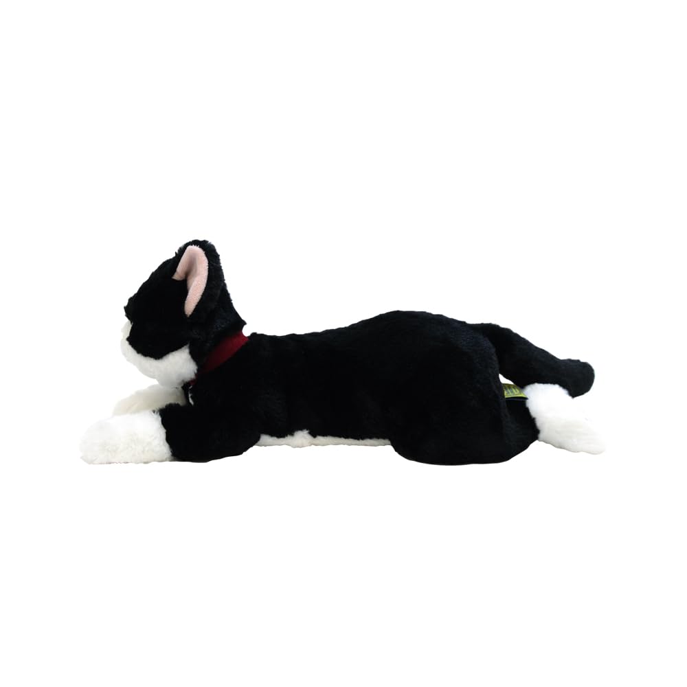 Sun Lemon Lap Black and 13 X 36 X Plush Renewal Cute Cat, White, Small, 15cm, Toy, Edition, Animal, Cat, P-1513