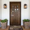 Floral And Letter Graphic Front Door Mat Anti-Slip Indoor Absorbent  Doormat Living Room  Entrance Rug Carpet