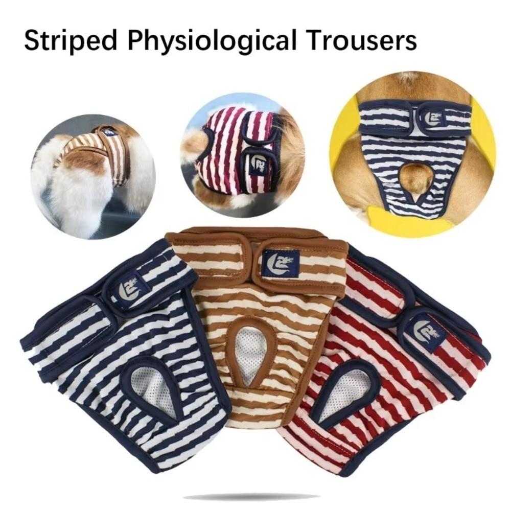 Reusable Pet Sanitary Shorts Soft Elastic Pet Anti Harassment Pants  Pet Menstrual Care