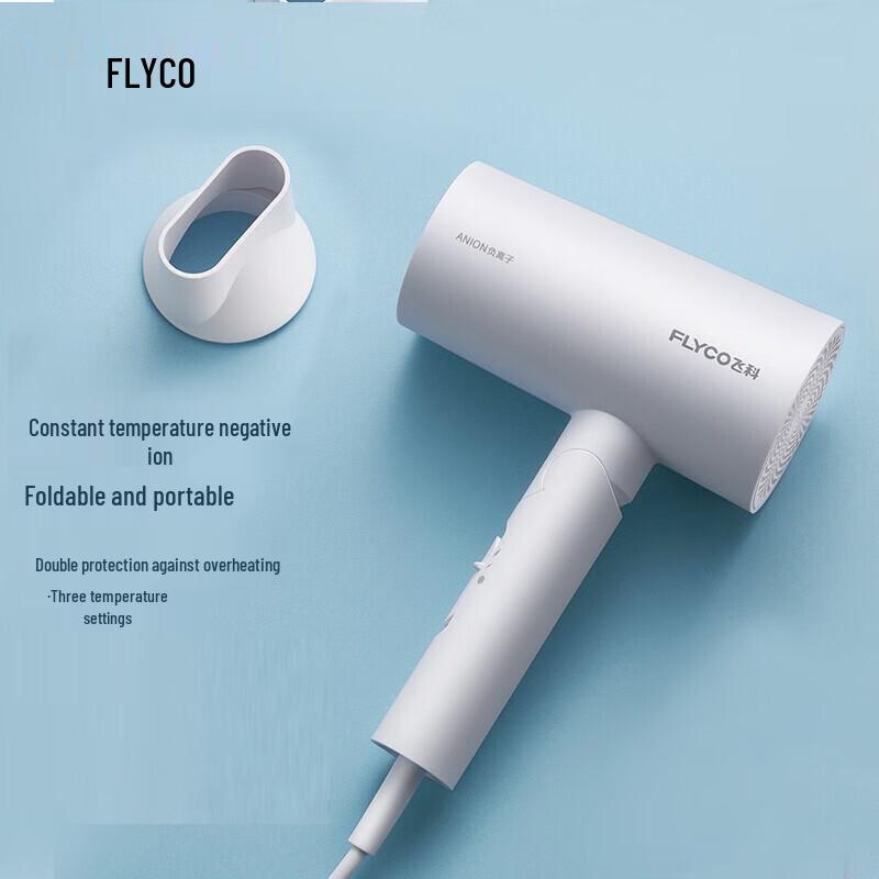 FLYCO High-Power Hair Dryer