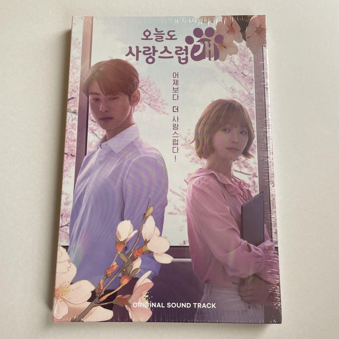 

[USED] Korean Drama Wonderful Days OST CD