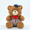 New Doll Plush Toy Clothing Bear Doll Cartoon Teddy Bear Doll Doll