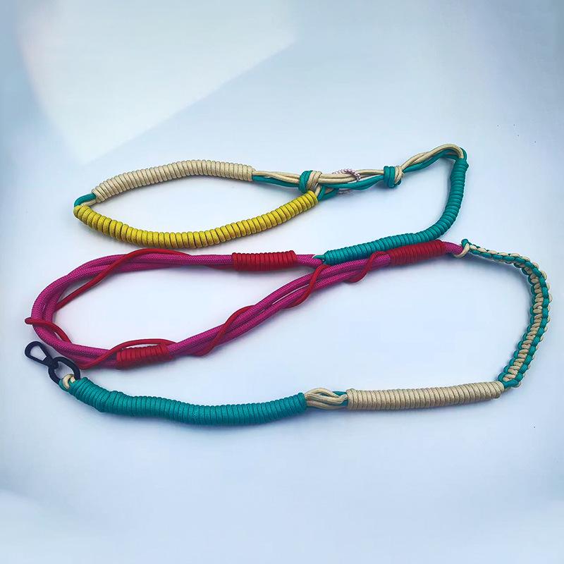Pet Leash for Dogs and Cats - Multiple Colors Available