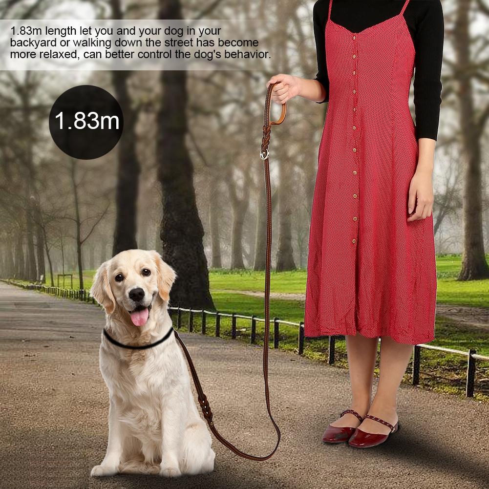 Durable Leather Dog Training Leash Double Hooks Strap for Large Medium Small Dogs
