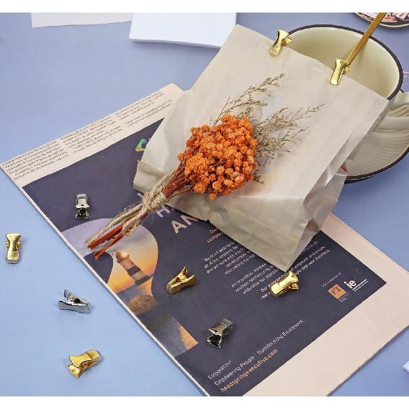 ONLYKXY 30pcs Metal Small Clip DIY Clips 20x8mm Non-Slip Sweater Storage Alligator Clamp Flat Mouth Multi Purpose Clip Lanyards Clothing Glasses