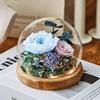 Eternal Flower Rose Glass Cover Finished Gift Box Valentine's Day Wedding Creative Gift for Girlfriend Eternal Flower Ornament