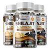 Airboy Shilajit & Ginseng Komplex Kapseln - Energie - ImmunGesundheit