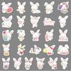 51 Sanrio Wishing Rabbit Stickers: Cute, Waterproof Animal Designs for Phone Cases & More.
