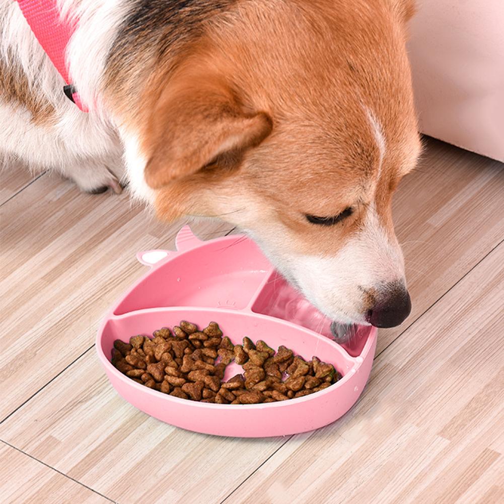 dog eating plate