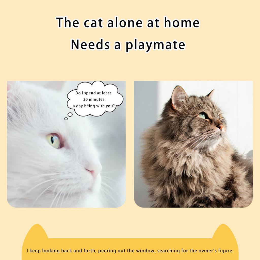 Intelligent Automatic Rotating Cats Enrichment Box Interactive Maze Design Chew Resistant Structure