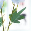 5 Fork Artificial Peony Flower Plastic Fake Flower Silk Peony Flower Branch  Balcony Decoration