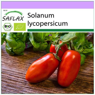 Bio - Paradajka - San Marzano - 15 semien - Solanum lycopersicum