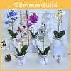 Phalaenopsis Faux Plant For Wedding Decoration And Home Indoor Display