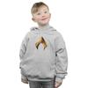 DC Comics Boys Aquaman Emblem Hoodie