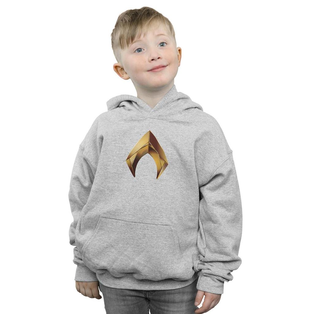 DC Comics Boys Aquaman Emblem Hoodie