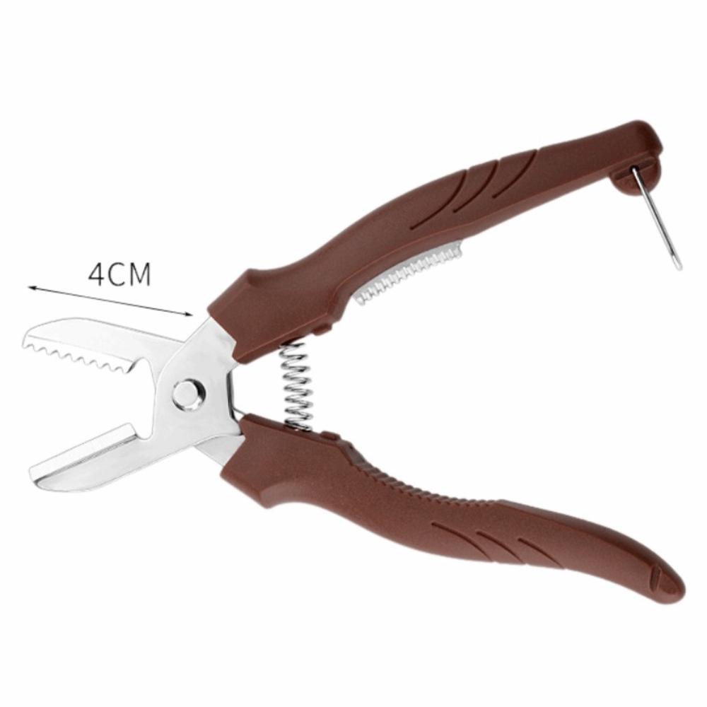 Stainless Steel Design Manual Chestnut Cutter Labor Saving Ergonomic Handle Chestnut Shell Peeling Sturdy Chestnut Opener Tool