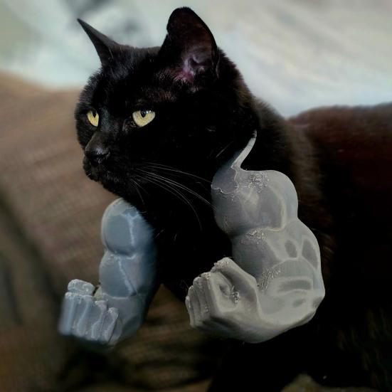 Cat Muscle Arm Costume 3D Printed Cat Neck Arm with Muscle Funny Cat Neck Hanging Decoration Halloween Birthday Party Supplies