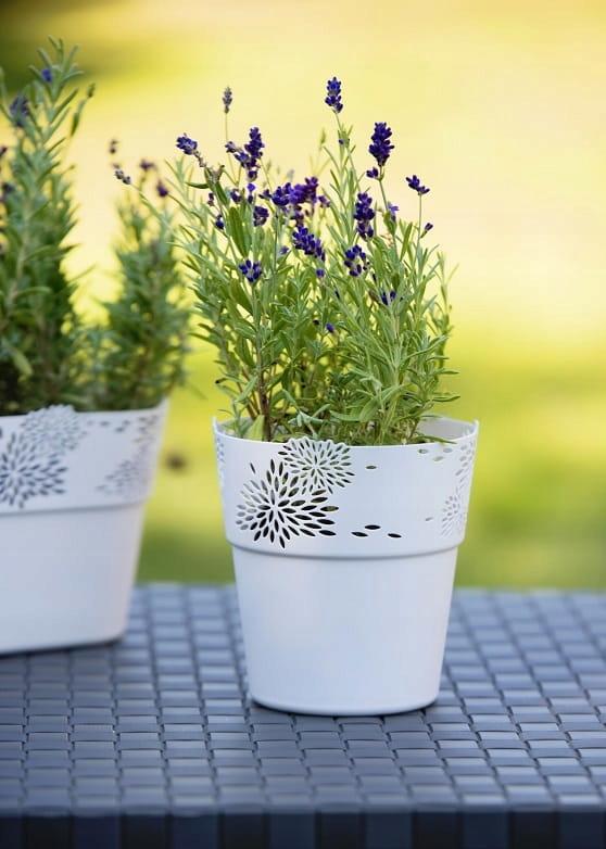 Aster Cover White Openwork 13 Cm