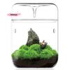Terrario in Vetro da Tavolo M-Vaso per la Raccolta della Rugiada Micro Paesaggio Giardino di Succulente e Muschio Decorazione per la Casa Design Creativo di Bottiglia in Vetro