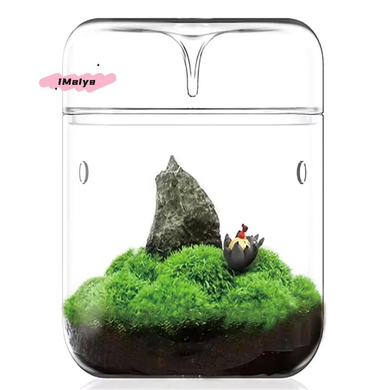 Terrario in Vetro da Tavolo M-Vaso per la Raccolta della Rugiada Micro Paesaggio Giardino di Succulente e Muschio Decorazione per la Casa Design Creativo di Bottiglia in Vetro