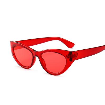 JYL Sunglasses 1502 Cat Eye European UV/1502