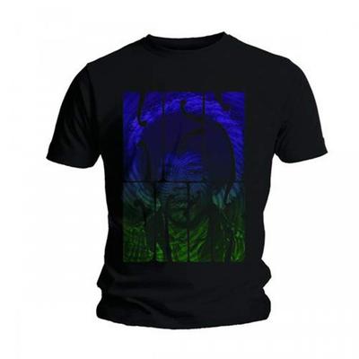 Jimi Hendrix Unisex Adult Swirly Text Cotton T-Shirt