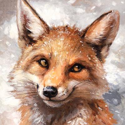 5d Diy Diamantová maľba Diamantová mozaika Snow Fox Diamantové vyšívanie Maľba Diamantová maľba Krížikový steh Home Decor