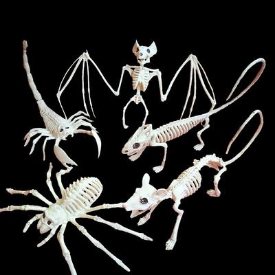 Maus Party Fledermaus Halloween Dekoration Tier Skelett Streich Requisiten Künstlicher Schädel Kunststoff Knochen