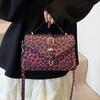 Leopard print summer new personalized fashion foreign versatile messenger bag women's work casual simple shoulder bag
