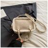 Ielgy Fashion Pillow Bag Autumn Winter Plush Portable All-Match One-Shoulder Messenger Bag