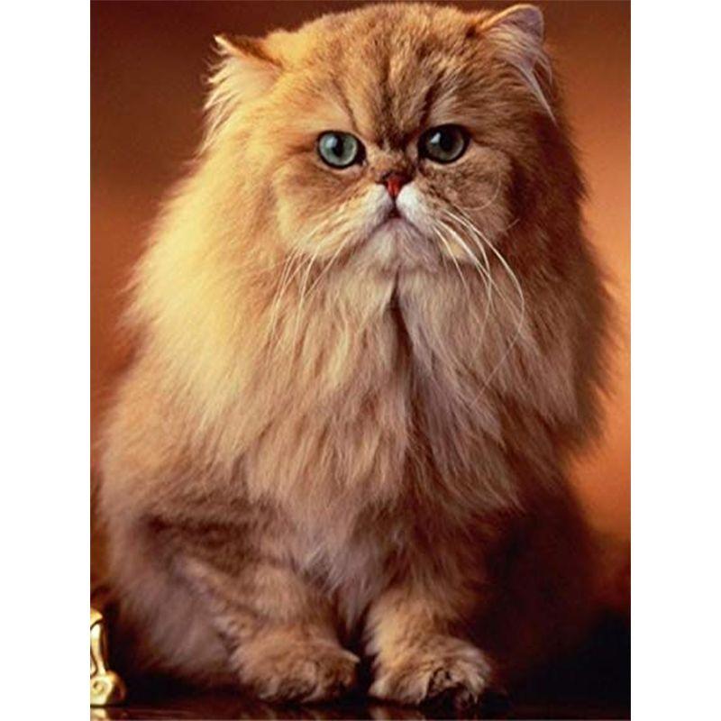 Full Drill Square&;Kulatý diamantový obraz Black Faced Cat Diy Sale Výšivka Animal Home Decoration dárek