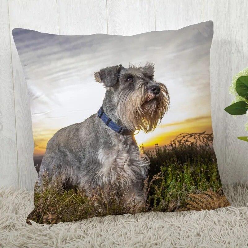 Pillowcase Schnauzer  Modern Home Living Room Decoration